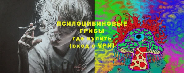 PSILOCYBIN Гусь-Хрустальный