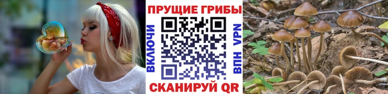 продажа наркотиков  Ессентуки  Псилоцибиновые грибы мухоморы 