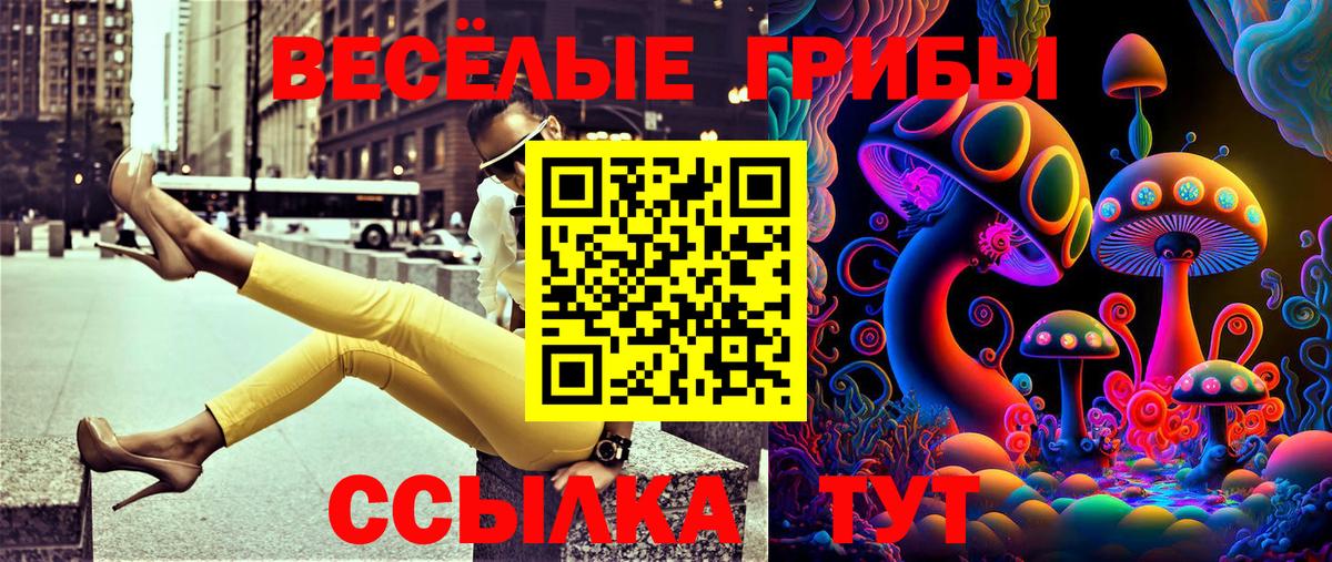 Псилоцибиновые грибы Psilocybe  Вход с VPN  Ессентуки 